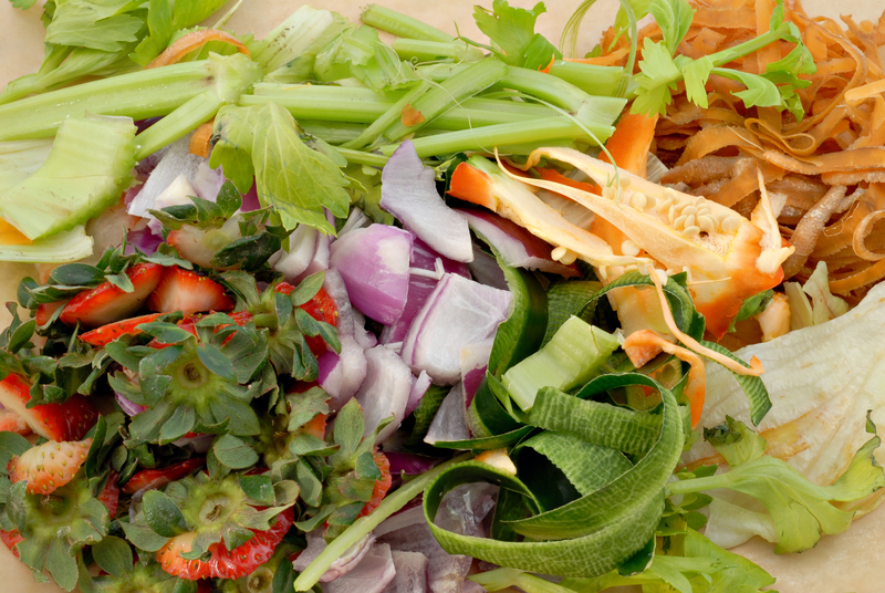 waste disposal property